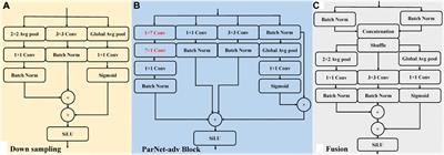 Atrial fibrillation classification based on the 2D representation of minimal subset ECG and a non-deep neural network